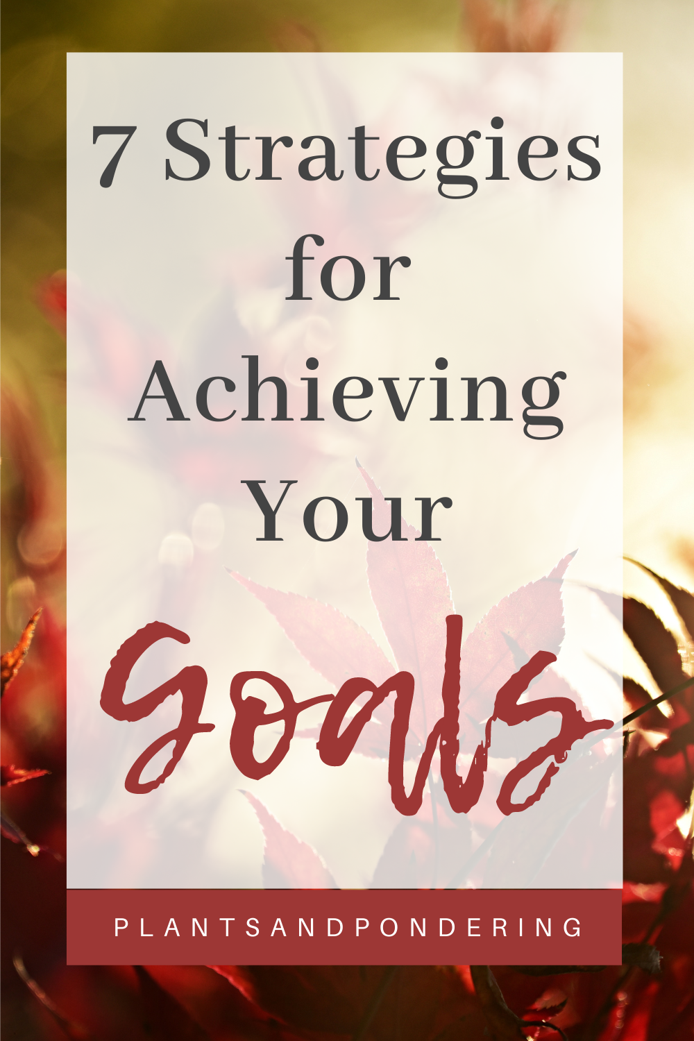 7 Strategies for Staying on Track with Your Goals - Plants and Pondering